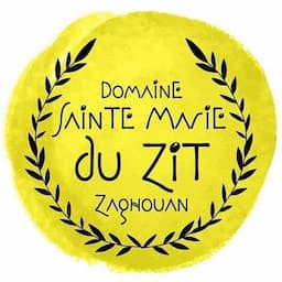 Sainte marie du zit