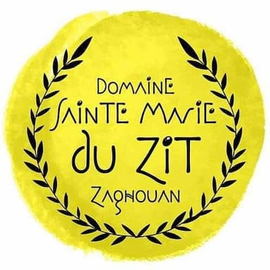 Sainte marie du zit