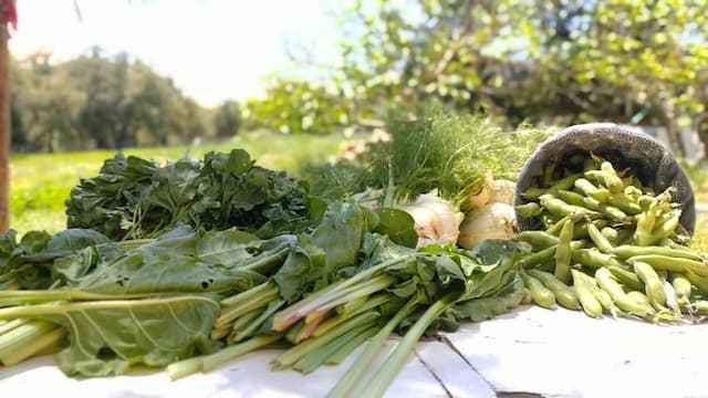 homrane sustainable living