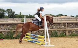 AYIS EQUESTRIAN CENTER