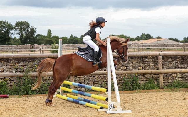 AYIS EQUESTRIAN CENTER