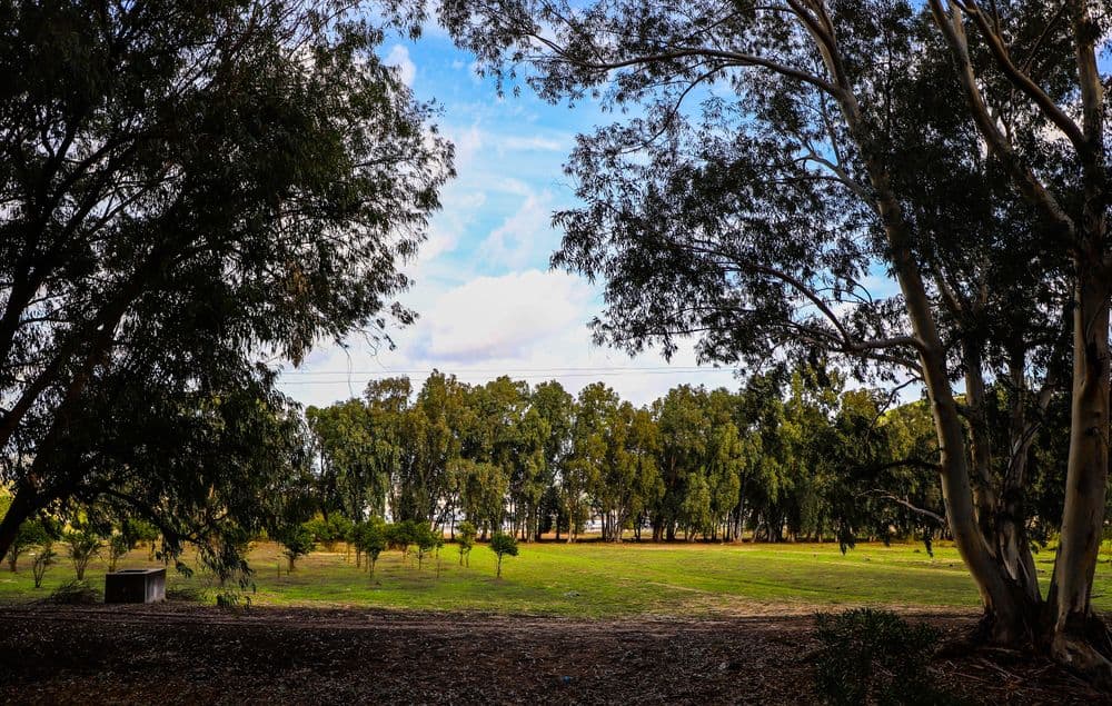 50 km Trekking Trail - El Moula Dam to Beni Mtir